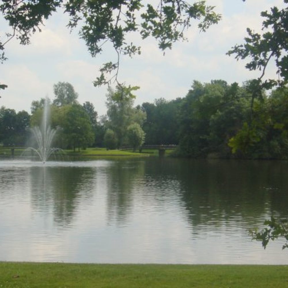 Doorkijkvijver